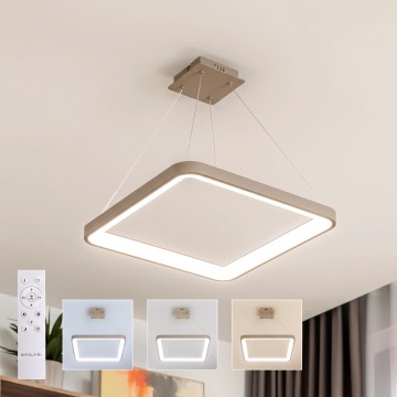 BRILAGI - LED Dimmelhető kábeles csillár FALCON SLIM LED/50W/230V 3000-6500K 50x50 cm bézs + távirányító