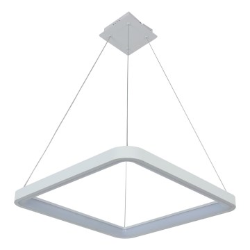 Brilagi - LED dimmelhető kábeles csillár FALCON SLIM LED/50W/230V 3000-6500K 50x50 cm fehér + távirányító
