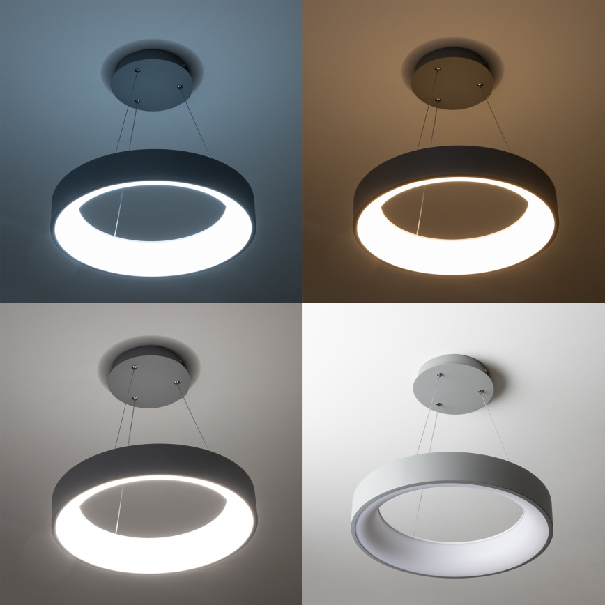 Brilagi - Dimmelhető LED kábeles függeszték FALCON LED/40W/230V 3000-6500K átm. 45 cm szürke + távirányító