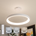 Brilagi - LED Dimmelhető kábeles függeszték FALCON II LED/108W/230V 3000-6500K Ø 80 cm fehér + távirányítóval
