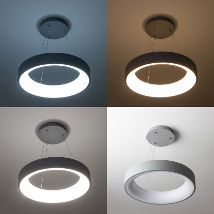 Brilagi - LED dimmelhető függeszték kábelen FALCON LED/80W/230V 3000–6500K átm. 60 cm szürke + távirányító