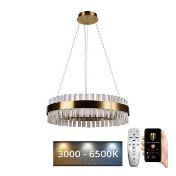 Brilagi - LED dimmelhető kristály függőcsillár zsinóron HALO LED/40W/230V 3000-6500K átm. 60 cm + távirányító