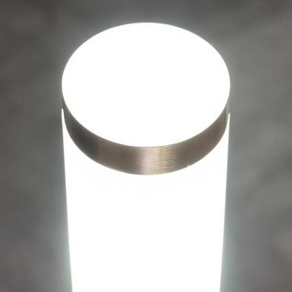 BRILAGI - LED Dimmelhető kültéri fali lámpa ELIA 1xE27/6W/230V 2700-6500K IP44 matt króm