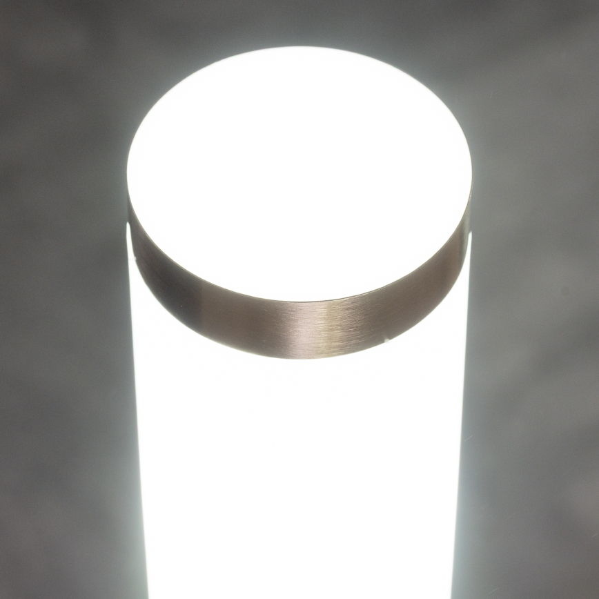 BRILAGI - LED Dimmelhető kültéri fali lámpa ELIA 1xE27/6W/230V 2700-6500K IP44 matt króm