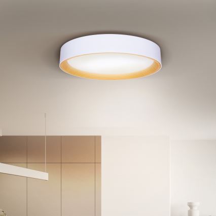 Brilagi - LED Dimmelhető mennyezeti lámpa LARIOS LED/48W/230V 3000-6500K ø 39 cm fehér + távirányítás