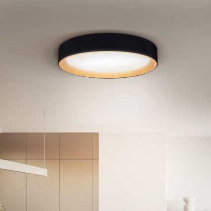 Brilagi - LED Dimmelhető mennyezeti lámpa LARIOS LED/48W/230V 3000-6500K ø 39 cm fekete + távirányítás