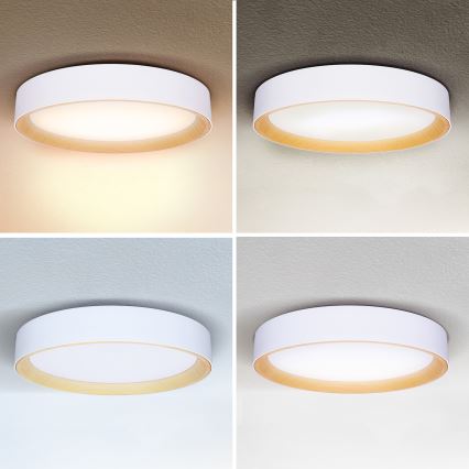 Brilagi - LED Dimmelhető mennyezeti lámpa LARIOS LED/60W/230V 3000-6500K ø 49 cm fehér + távirányítás