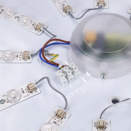 Brilagi - LED dimmelhető mennyezeti lámpatest ALSON LED/72W/230V 3000-6500K tölgy átm. 78 cm + távirányító