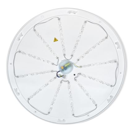 Brilagi - LED dimmelhető mennyezeti lámpatest ALSON LED/72W/230V 3000-6500K tölgy átm. 78 cm + távirányító