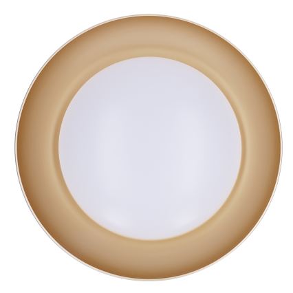 Brilagi - ALVA LED dimmelhető mennyezeti lámpatest LED/48W/230V 3000–6500K átm. 51 cm fehér + távirányító