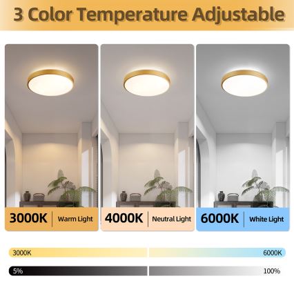Brilagi - GLASS POOL DOUBLE LED/48W/230V dimmelhető mennyezeti lámpatest 3000-6000K 40 cm arany + távirányító