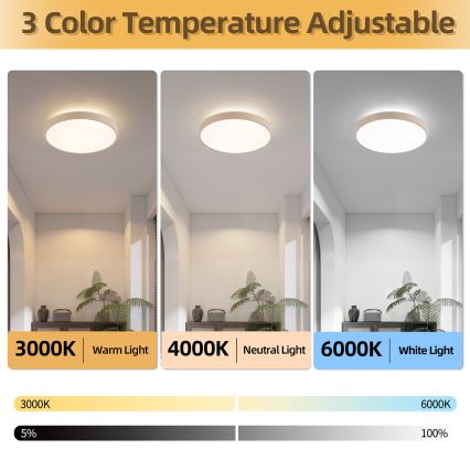 Brilagi - LED dimmelhető mennyezeti lámpa GLASS POOL DOUBLE LED/48W/230V 3000-6000K 40 cm bézs + távirányító