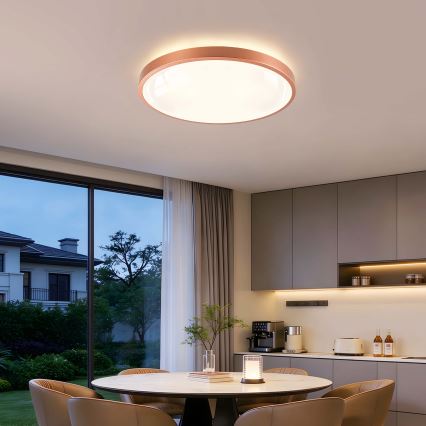 BRILAGI - LED fényerőszabályozható mennyezeti lámpa GLASS POOL DOUBLE LED/60W/230V Ø 50 cm rézszínű + távirányító