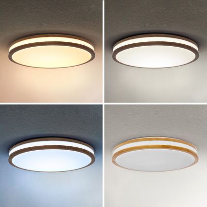 Brilagi - LED dimmelhető mennyezeti lámpa MOLINA LED/72W/230V 3000-6500K tölgy átm. 78 cm + távirányító