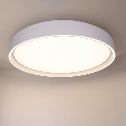 Brilagi - LED dimmelhető mennyezeti lámpa NANCI LED/60W/230V 3000–6500K Ø 49 cm fehér + távirányító