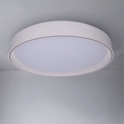Brilagi - LED dimmelhető mennyezeti lámpa NANCI LED/60W/230V 3000–6500K Ø 49 cm fehér + távirányító