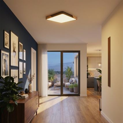 Brilagi - LED dimmelhető mennyezeti lámpatest PILANA LED/48W/230V 3000-6500K tölgy/fekete 56x56 cm + távirányítóval