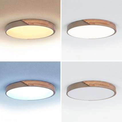 BRILAGI - LED dimmelhető mennyezeti lámpatest PILANA LED/60W/230V 3000-6500K tölgy/bézs átmérő: 60 cm + távirányító