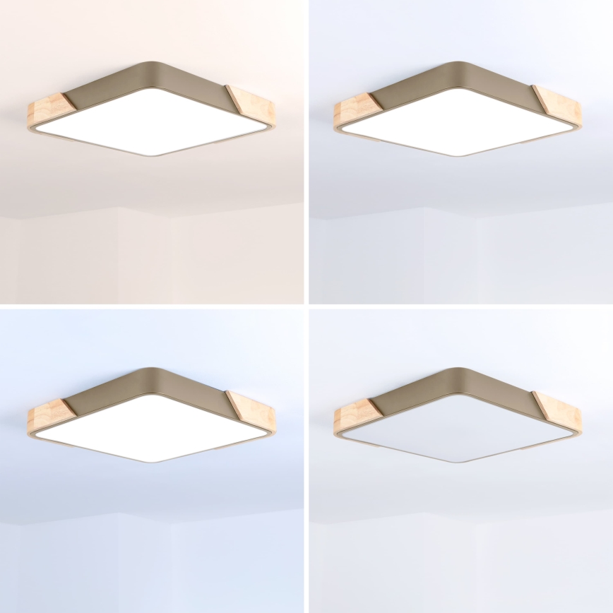 BRILAGI - LED Dimmelhető mennyezeti lámpatest PILANA SQUARE LED/48W/230V 3000-6500K tölgy/bézs 42x42 cm + távirányító