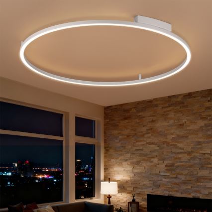 Brilagi - PORTOFINO LED dimmelhető mennyezeti lámpa LED/85W/230V 3000-6000K átm. 120 cm ezüst + távirányító