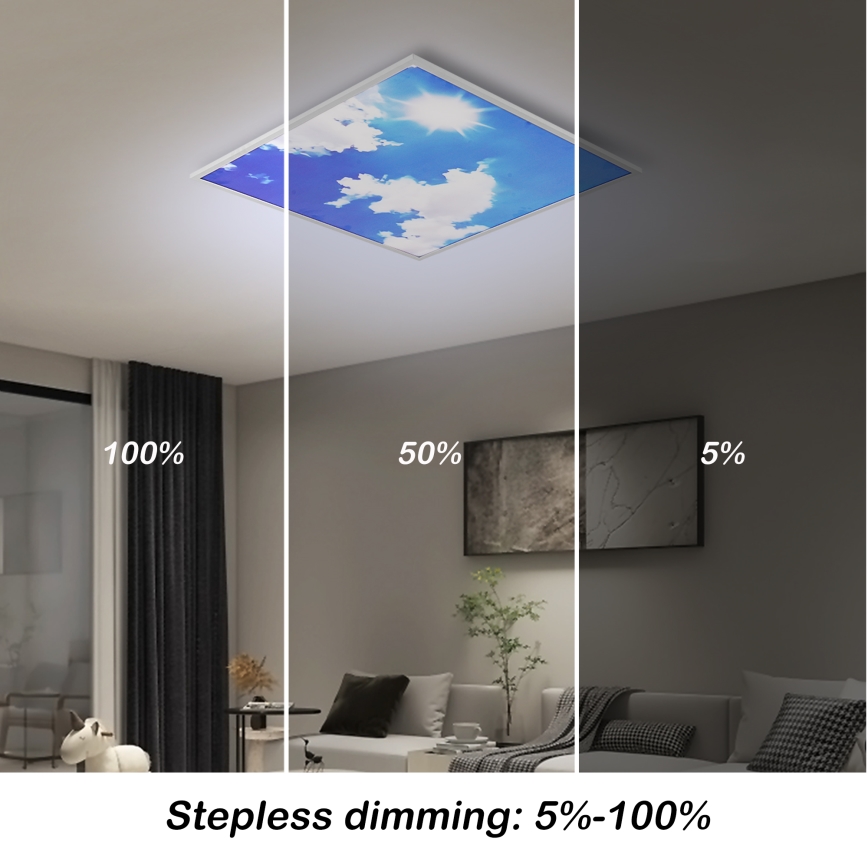 Brilagi - LED Dimmelhető mennyezeti lámpatest SLIMFRAME SKY LED/58W/230V 60x60 cm 3000-6000K ezüst/kék + távirányító