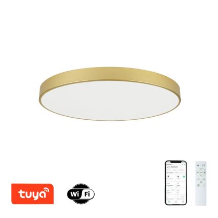 Brilagi - LED fényerőszabályozható mennyezeti lámpatest POOL SMART LED/100W/230V 3000-6000K 80 cm aranyszínű Wi-Fi Tuya + távirányító