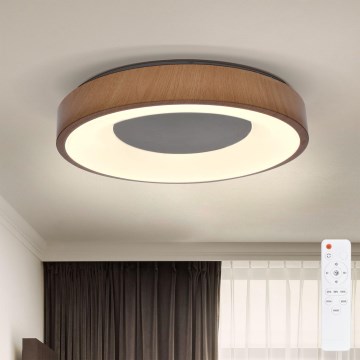 Brilagi - LED dimmelhető mennyezeti lámpa DORIA LED/48W/230V 3000-6500K átm. 39 cm + távirányító