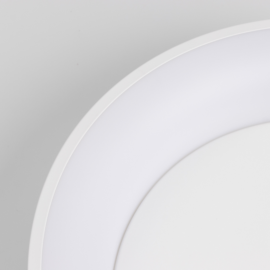 Brilagi - LED Dimmelhető mennyezeti lámpa FALCON LED/80W/230V 3000-6500K fehér + távirányító