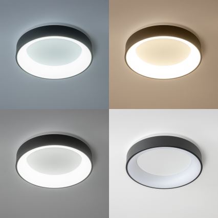 Brilagi - LED Dimmelhető mennyezeti lámpa FALCON LED/80W/230V 3000-6500K fekete + távirányító