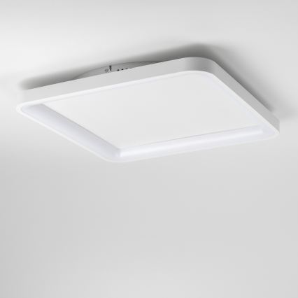 Brilagi - LED dimmelhető mennyezeti lámpatest FALCON SLIM LED/50W/230V 3000-6500K 50x50 cm fehér + távirányító