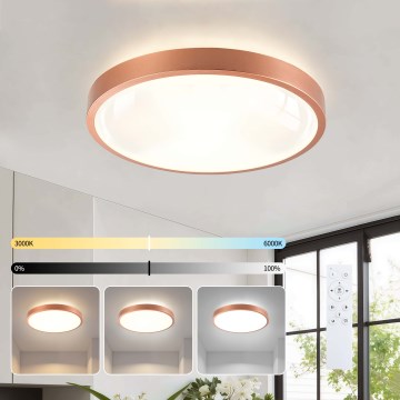 BRILAGI - LED dimmelhető mennyezeti lámpa GLASS POOL DOUBLE LED/48W/230V átmérő 40 cm rézszínű + távirányító