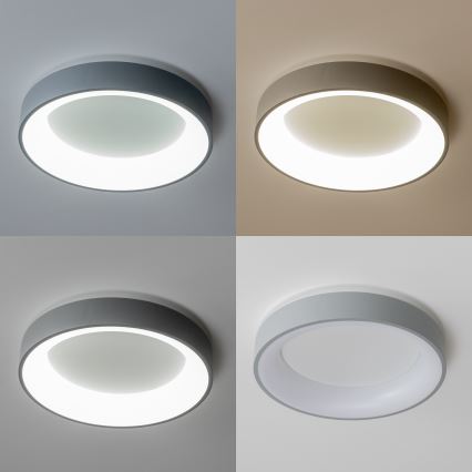 Brilagi - LED fényerőszabályozható mennyezeti lámpa FALCON LED/40W/230V 3000-6500K átm. 45 cm szürke + távirányító