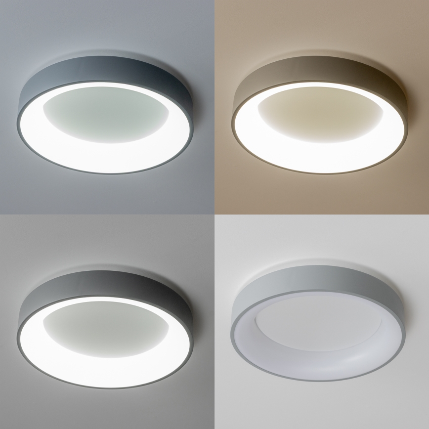 Brilagi - LED fényerőszabályozható mennyezeti lámpa FALCON LED/40W/230V 3000-6500K átm. 45 cm szürke + távirányító