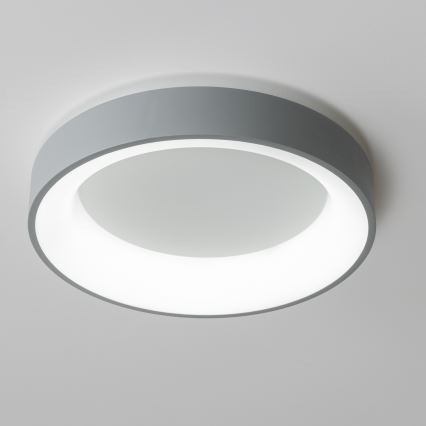 Brilagi - LED fényerőszabályozható mennyezeti lámpa FALCON LED/40W/230V 3000-6500K átm. 45 cm szürke + távirányító