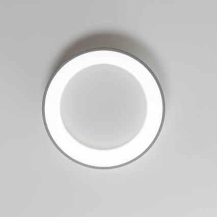 Brilagi - LED fényerőszabályozható mennyezeti lámpa FALCON LED/40W/230V 3000-6500K átm. 45 cm szürke + távirányító
