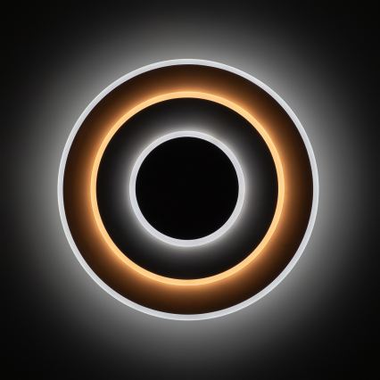 BRILAGI - LED fényerőszabályozható mennyezeti lámpa MODERN LED/58W/230V 3000-6000K átmérő 46,3 cm + távirányító