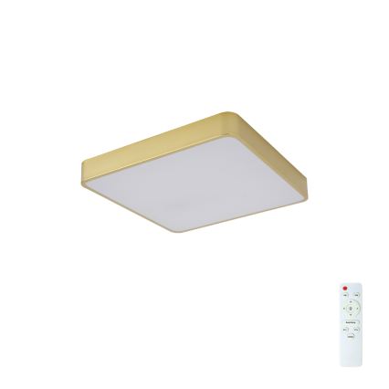 Brilagi - LED dimmelhető mennyezeti lámpatest POOL LED/36W/230V 3000-6000K 40x40 cm arany + távirányító
