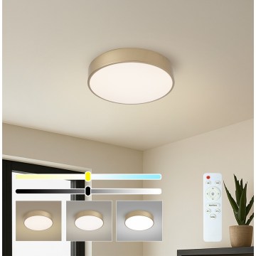 Brilagi - LED dimmelhető mennyezeti lámpa POOL LED/36W/230V 3000-6000K Ø 30 cm aranyszínű + távirányító