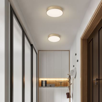 Brilagi - LED dimmelhető mennyezeti lámpa POOL LED/36W/230V 3000-6000K Ø 30 cm aranyszínű + távirányító
