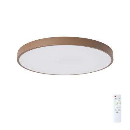 Brilagi - LED dimmelhető mennyezeti lámpatest POOL LED/60W/230V 3000-6000K Ø 60 cm barna + távirányító
