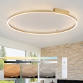 Brilagi - LED dimmelhető mennyezeti lámpa PORTOFINO LED/85W/230V 3000-6000K Ø 120 cm arany + távirányító