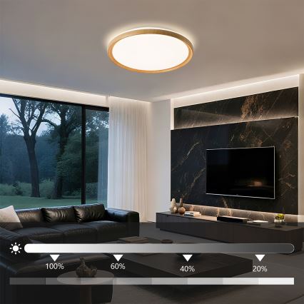 Brilagi - RIVO LED/72W/230V 3000-6000K fa dekor átmérő 50 cm + távirányító