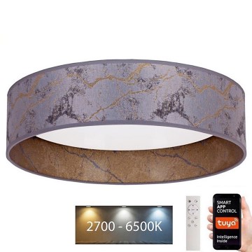 Brilagi - LED dimmelhető mennyezeti lámpa VELVET SMART LED/24W/230V átm. 45 cm 2700-6500K Wi-Fi Tuya szürke/arany + távirányító