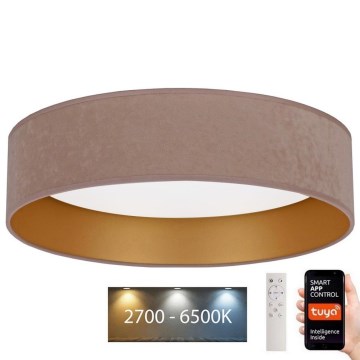 Brilagi - LED dimmelhető mennyezeti lámpa VELVET SMART LED/36W/230V átm. 55 cm 2700-6500K Wi-Fi Tuya bézs/arany + távirányító