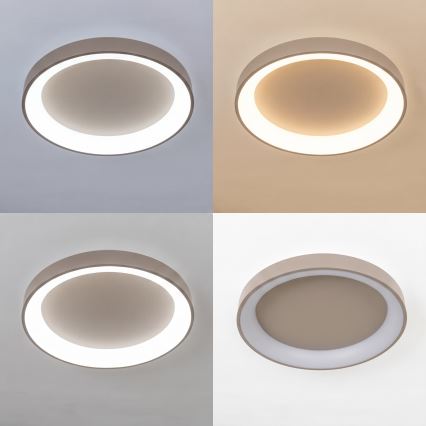 BRILAGI - LED dimmelhető mennyezeti lámpatest FALCON II LED/99W/230V 3000-6500K átm. 60 cm bézs + távirányító