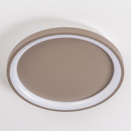 BRILAGI - LED fényerőszabályozható mennyezeti lámpa FALCON SLIM LED/42W/230V 3000-6500K átmérő 50 cm bézs + távirányító