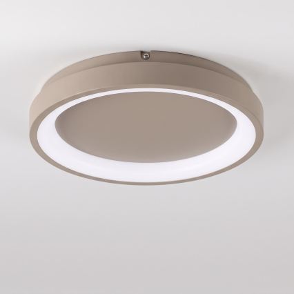 BRILAGI - LED fényerőszabályozható mennyezeti lámpa FALCON SLIM LED/42W/230V 3000-6500K átmérő 50 cm bézs + távirányító