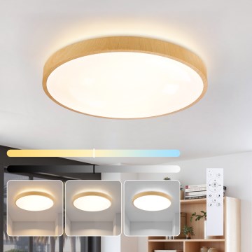 Brilagi - LED dimmelhető mennyezeti lámpatest GLASS POOL DOUBLE LED/60W/230V 3000-6000K 50 cm fa dekor + távirányító