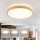 Brilagi - LED dimmelhető mennyezeti lámpatest GLASS POOL DOUBLE LED/60W/230V 3000-6000K 50 cm fa dekor + távirányító