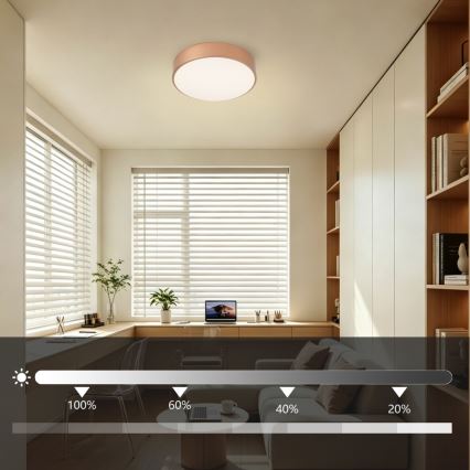 Brilagi - fényerőszabályozható POOL LED mennyezeti lámpatest LED/24W/230V 3000-6000K átm. 20 cm bronz színű + távirányító